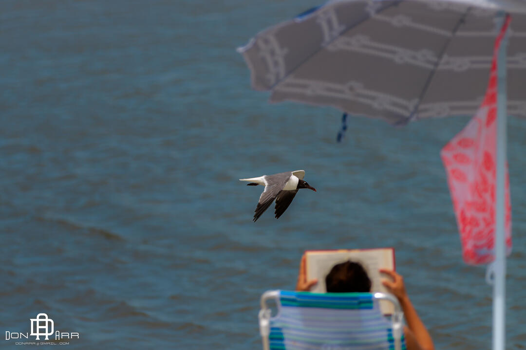 St. Simons Island, Georgia - Goulds Inlet