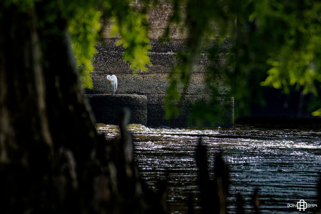 Albany, Georgia - Lake Worth Dam